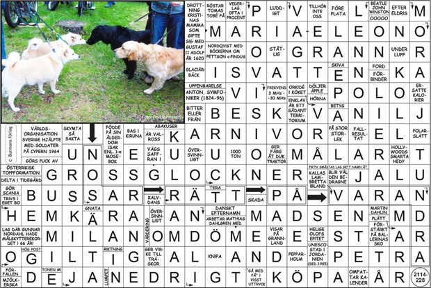 Krysset l�sning vecka 4, 2026