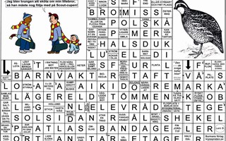Krysset l�sning vecka 6, 2026