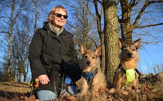 Camilla i V�xj� adopterade Ocho och Cedar fr�n Litauen 