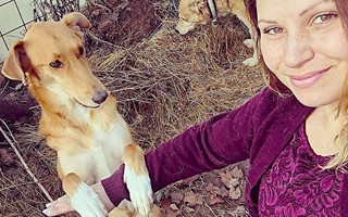 Sandra varnar f�r oseri�sa akt�rer som s�ljer adoptivhundar