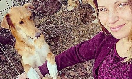 Sandra varnar f�r oseri�sa akt�rer som s�ljer adoptivhundar