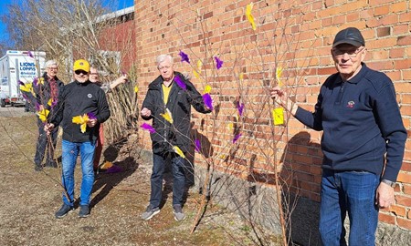 Lions har pyntat kommunen i lila och gult