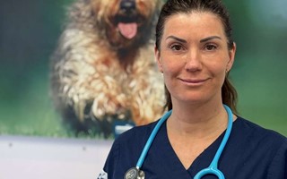 S� skyddar du ditt djur fr�n p�skens faror