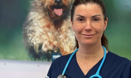 S� skyddar du ditt djur fr�n p�skens faror