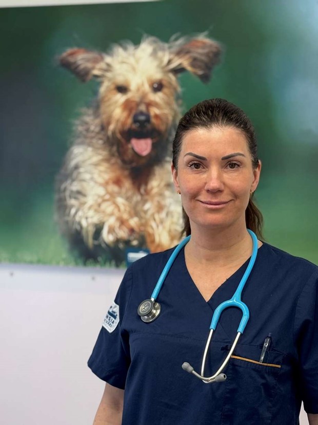 S� skyddar du ditt djur fr�n p�skens faror