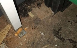 Personalen r�kte inomhus p� smutsigt matst�lle i V�xj�:  �Ovanligt mycket avvikelser p� det h�r st�llet� 