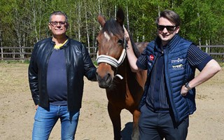 Tingsryd tar plats i travets finrum �R�knar med de b�sta loppen n�gonsin�