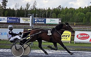 Ostadigt v�der skr�mde bort bes�kare under V85