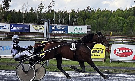 Ostadigt v�der skr�mde bort bes�kare under V85