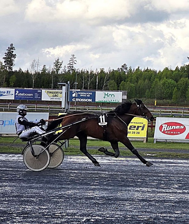 Ostadigt v�der skr�mde bort bes�kare under V85