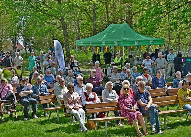 Hagaparken fylldes av s�ng  n�r nationaldagen firades 