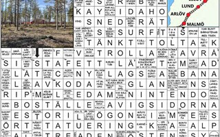 Krysset l�sning vecka 7, 2026