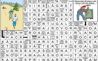 Krysset l�sning vecka 14, 2026