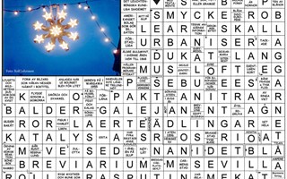 Krysset l�sning vecka 16, 2026