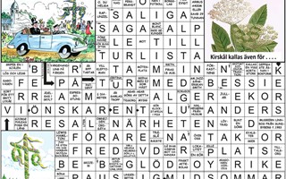 Krysset l�sning vecka 26, 2026