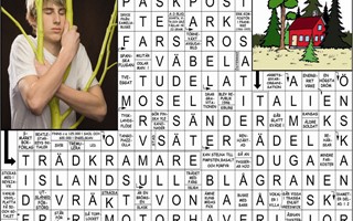 Krysset l�sning vecka 30, 2026