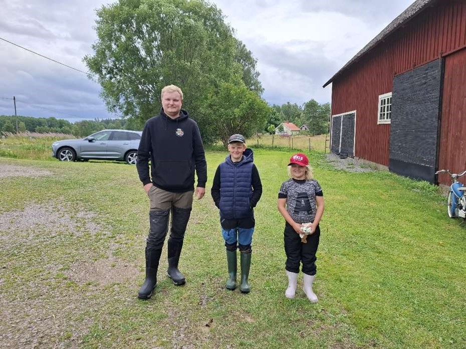 Metningst�vling i H�ssj� Sl�tth�g