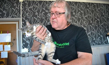 Djurskyddet Sigfrid har hittat ny lokal till katthemmet