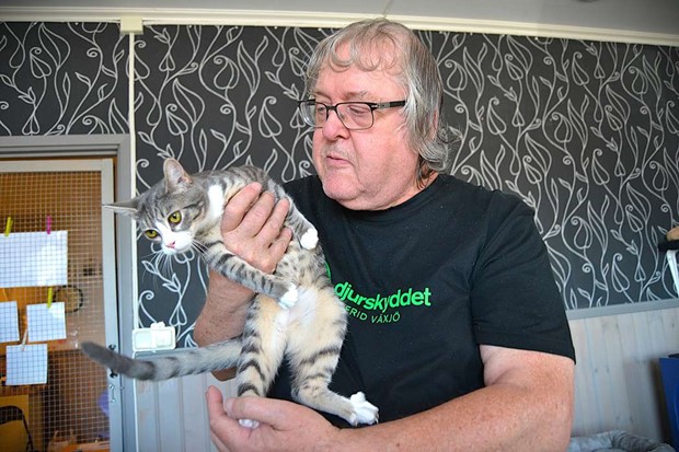 Djurskyddet Sigfrid har hittat ny lokal till katthemmet
