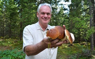 �Det fullst�ndigt exploderar med svamp�