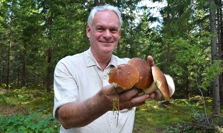 �Det fullst�ndigt exploderar med svamp�
