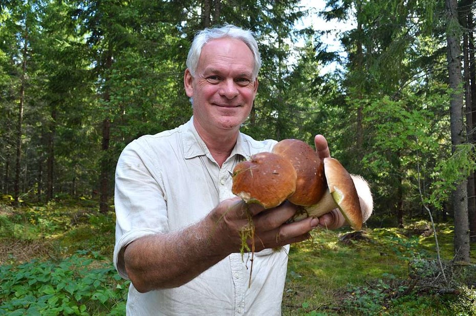 �Det fullst�ndigt exploderar med svamp�