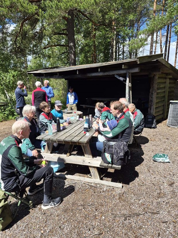 Dags för veteranorientering i Lessebo – ”Det är fin terräng” Dags för veteranorientering i Lessebo – ”Det är fin terräng”