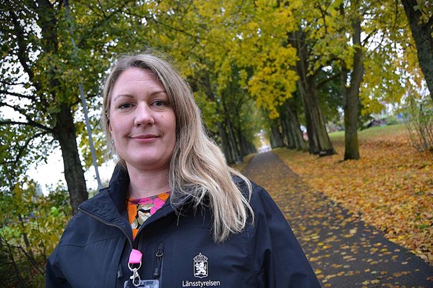 V�xj�s sj�l finns vid �strabobacken och Norrtull